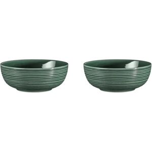 Seltmann Weiden Terra skål Ø 20,4 cm 2-pakning Moss Green