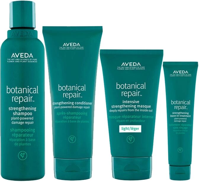 Aveda Botanical Repair Light Kit