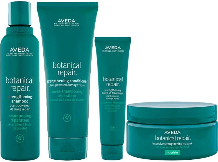 Aveda Botanical Repair Rich Kit