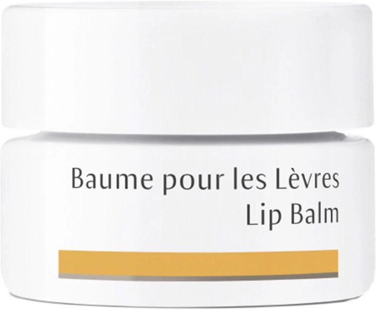 Dr.Hauschka Lip Balm (4,5ml)