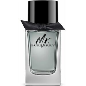 Burberry Mr Burberry EdT (100ml)