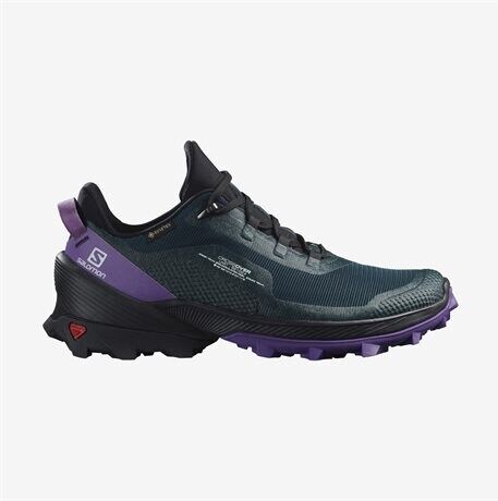 Salomon Cross Over GTX, Dame Ponderosa Pine/Black/Lilac  39 1/3