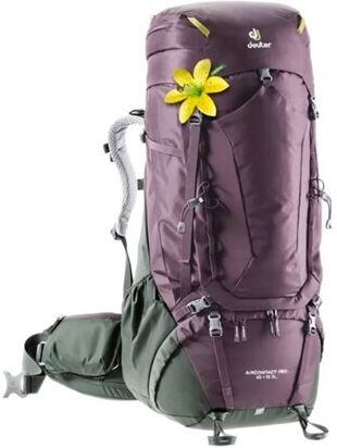 Deuter AirContact Pro 65+15L, SL Aubergine-Ivy