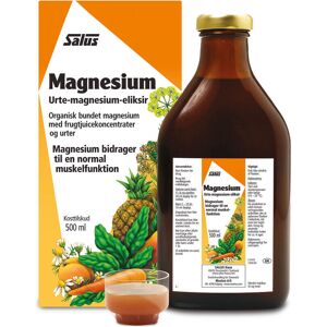 Salus Floradix Magnesium - 500 ml