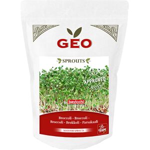 Geo Broccolifrø Til Spiring Øko - 300 g