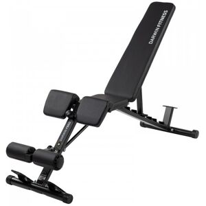 Darwin Fitness Darwin Hantelbank FB60 - Justerbart curlpute, Ryggstøtte, Stålramme - Benker Darwin Fitness Darwin Hantelbank FB60 - Justerbart curlpute, Ryggstøtte, Stålramme - Benker