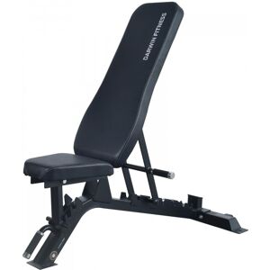 Darwin Fitness Darwin Treningsbenk - Justerbar Ryggstøtte - Vektbenk Darwin Fitness Darwin Treningsbenk - Justerbar Ryggstøtte - Vektbenk