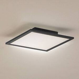 Lindby Enhife Svart Taklampe - Taklys Lindby Enhife Svart Taklampe - Taklys