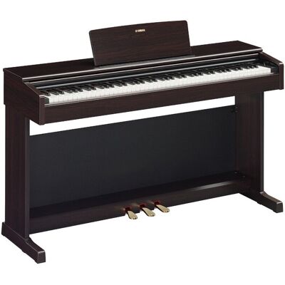 Yamaha Ydp-145 Rosewood Digital Piano Yamaha Ydp-145 Rosewood Digital Piano