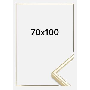 Ramme Nielsen Premium Classic Gull 70x100 Cm