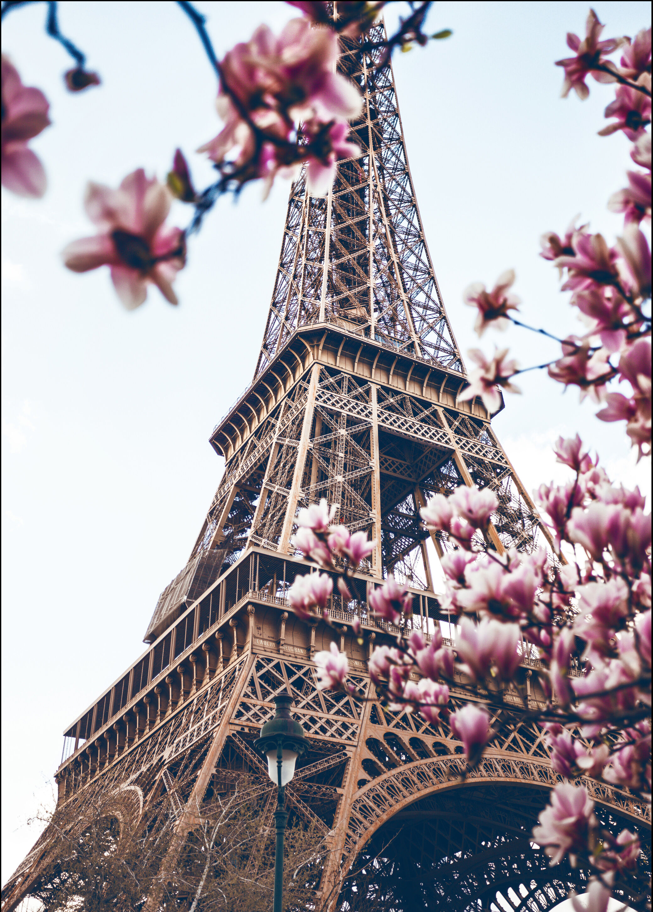 Lagervaror egen produktion Eiffel Tower Blossoms Plakat (21x29.7 Cm (A4))