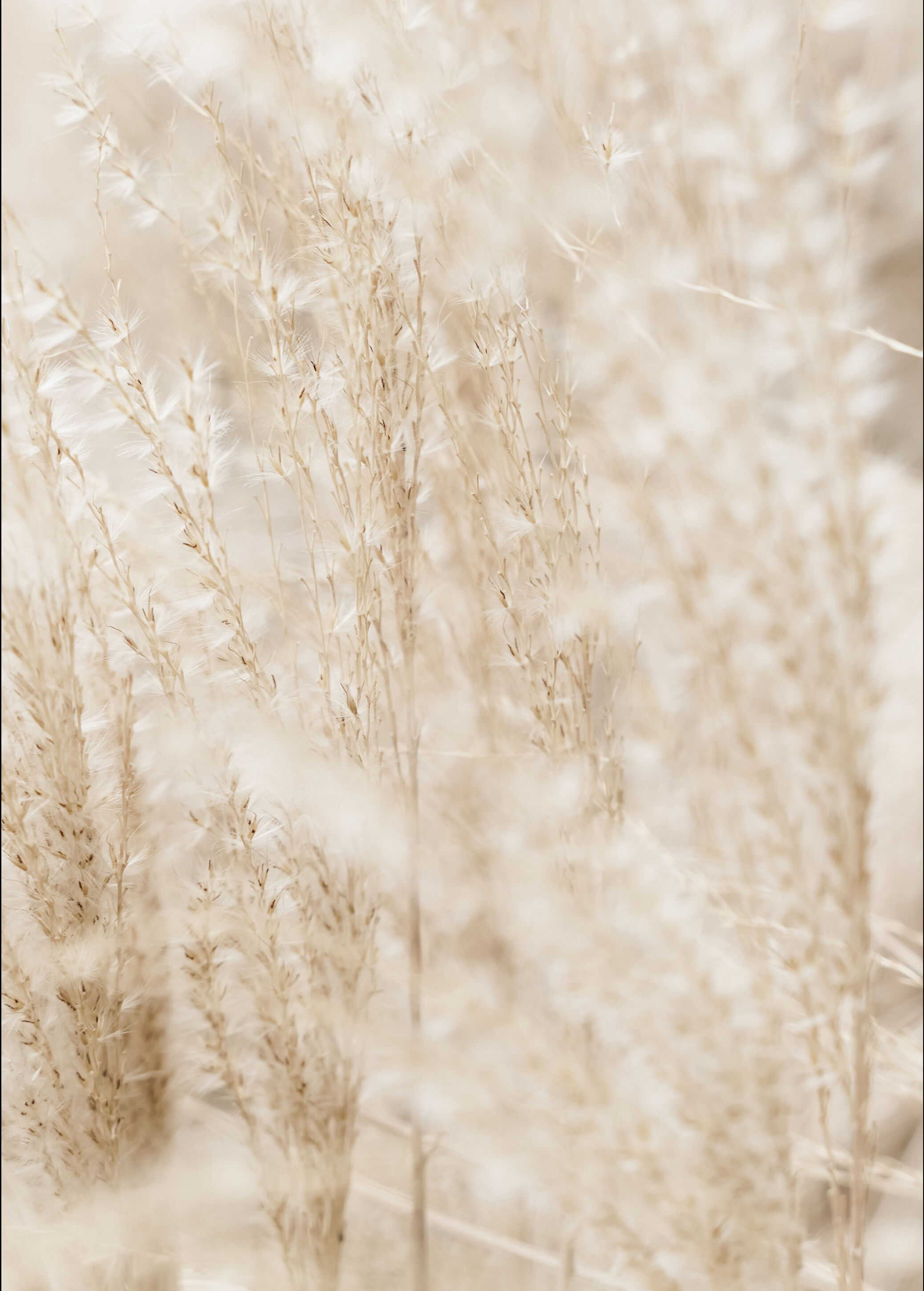 Lagervaror egen produktion Bright Grass Plakat (30x40 Cm)