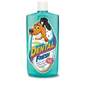 Dental Fresh Dog