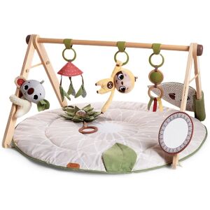 Tiny Love Babygym, Gymini - Boho Chic Luxe