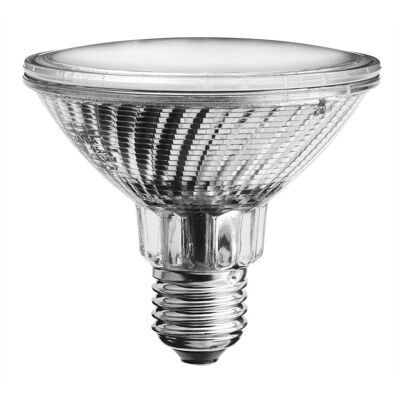 Par30 Halogen E27 100w Flood 30° Par30 Halogen E27 100w Flood 30°