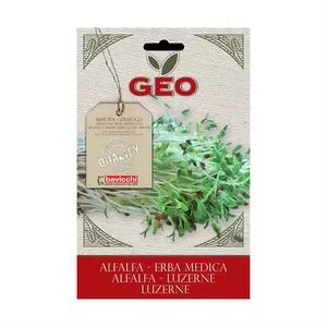 Geo Bavicchi Bavicchi Geo Lucsernefrø / alfalfa til spiring Ø - 30 g