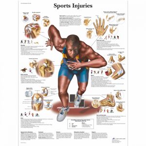 Sports Injuries 50x67 cm
