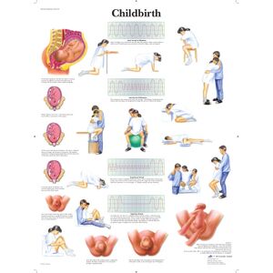 Childbirth 50x67 cm