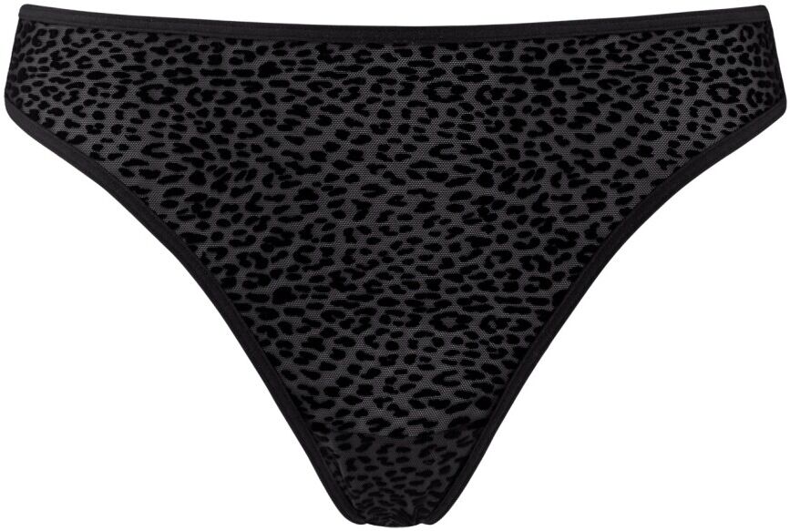 Marlies Dekkers Feline Jazz Brief Sort Female