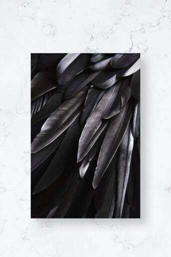 Malerifabrikken Poster Black Wing Svart  Male Svart