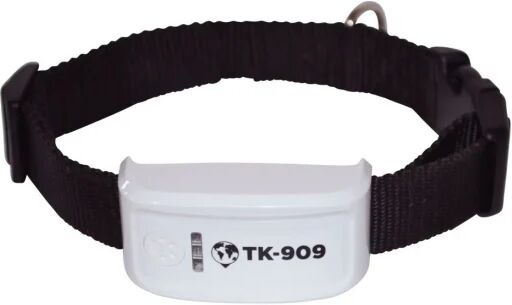 Winnes GPS TK-909