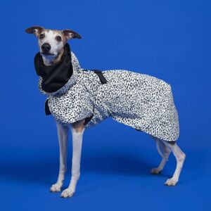 Paikka Vanntett Hundedrakt 55cm - Raincoat 2.0 Paikka Vanntett Hundedrakt 55cm - Raincoat 2.0