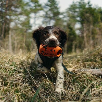 Non-stop dogwear Kastleke Til Hund Oransje/svart Non-stop dogwear Kastleke Til Hund Oransje/svart
