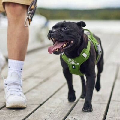 Hurtta Weekend Warrior Ii Eco Hundesele Grønn Hurtta Weekend Warrior Ii Eco Hundesele Grønn