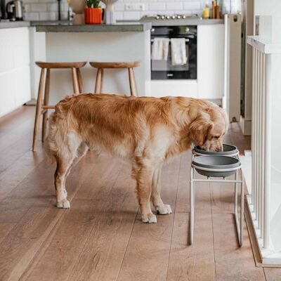 District 70 Butler Matbar Beige District 70 Butler Matbar Beige