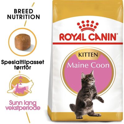Royal Canin Maine Coon Kitten Royal Canin Maine Coon Kitten