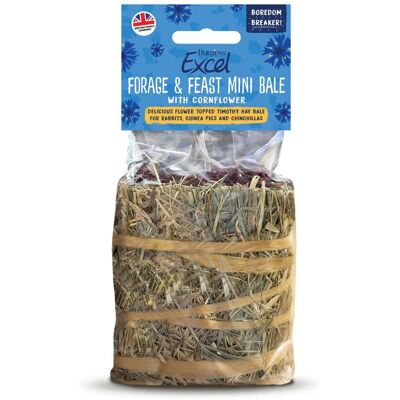 BURGESS - Excel Forage & Feast - Mini Høyball - Snack BURGESS - Excel Forage & Feast - Mini Høyball - Snack