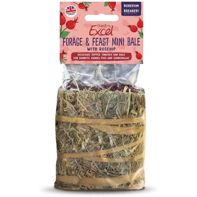 Burgess Excel - Forage & Feast Mini Hay Bale - Rosehip Burgess Excel - Forage & Feast Mini Hay Bale - Rosehip
