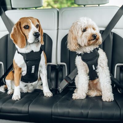 Thule Bilsele Hund Svart Thule Bilsele Hund Svart
