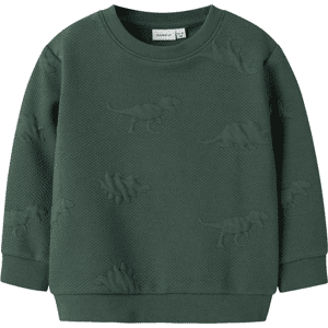 Name It Nmmnolan sweatshirt til småbarn, Garden Topiary Name It Nmmnolan sweatshirt til småbarn, Garden Topiary