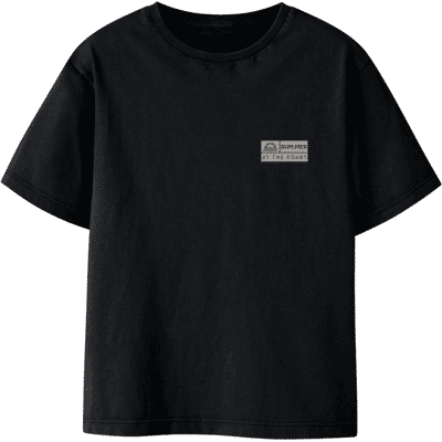 Name It Nkmfandel t-skjorte til barn, Black (116) 116 Name It Nkmfandel t-skjorte til barn, Black (116) 116