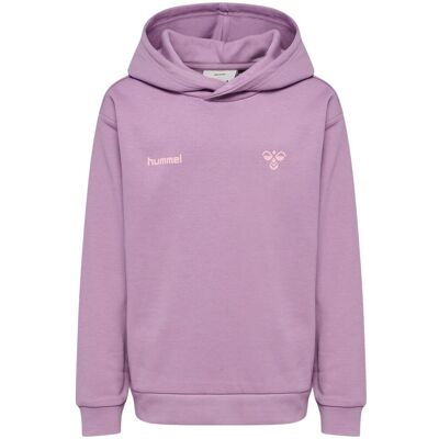 Hummel Graphic hettegenser til barn, Lavender Mist (158/164) 158/164 Hummel Graphic hettegenser til barn, Lavender Mist (158/164) 158/164