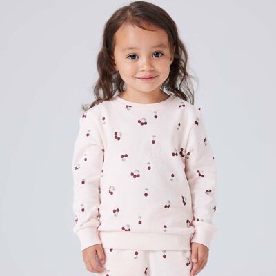Name It Nmfvalba sweatshirt til småbarn, Crystal Pink (116) 116 Name It Nmfvalba sweatshirt til småbarn, Crystal Pink (116) 116