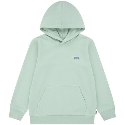 Levis Mini Batwing hettegenser til barn, Cameo Green (10 år) 10 år Levis Mini Batwing hettegenser til barn, Cameo Green (10 år) 10 år