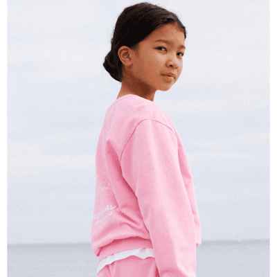 Name It Nkfharmonia sweatshirt til barn, Pink Drink (146/152) 146/152 Name It Nkfharmonia sweatshirt til barn, Pink Drink (146/152) 146/152