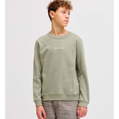 Jack and Jones Junior Jornorrebro sweatshirt, Seagrass (164) 164 Jack and Jones Junior Jornorrebro sweatshirt, Seagrass (164) 164