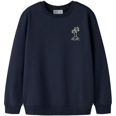 Name It Nkmvasse sweatshirt til barn, Navy Blazer (116) 116 Name It Nkmvasse sweatshirt til barn, Navy Blazer (116) 116