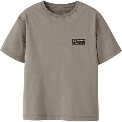 Name It Nkmfandel t-skjorte til barn, Vintage Khaki (116) 116 Name It Nkmfandel t-skjorte til barn, Vintage Khaki (116) 116