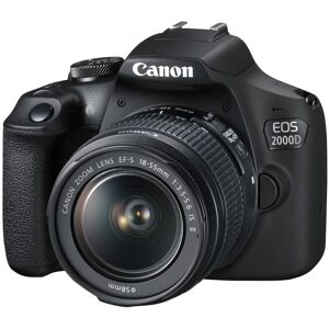 Canon EOS 2000D + EF-S 18-55mm f/3.5-5.6 III Kamerasett 24,1 MP CMOS 6000 x 4000 piksler Sort