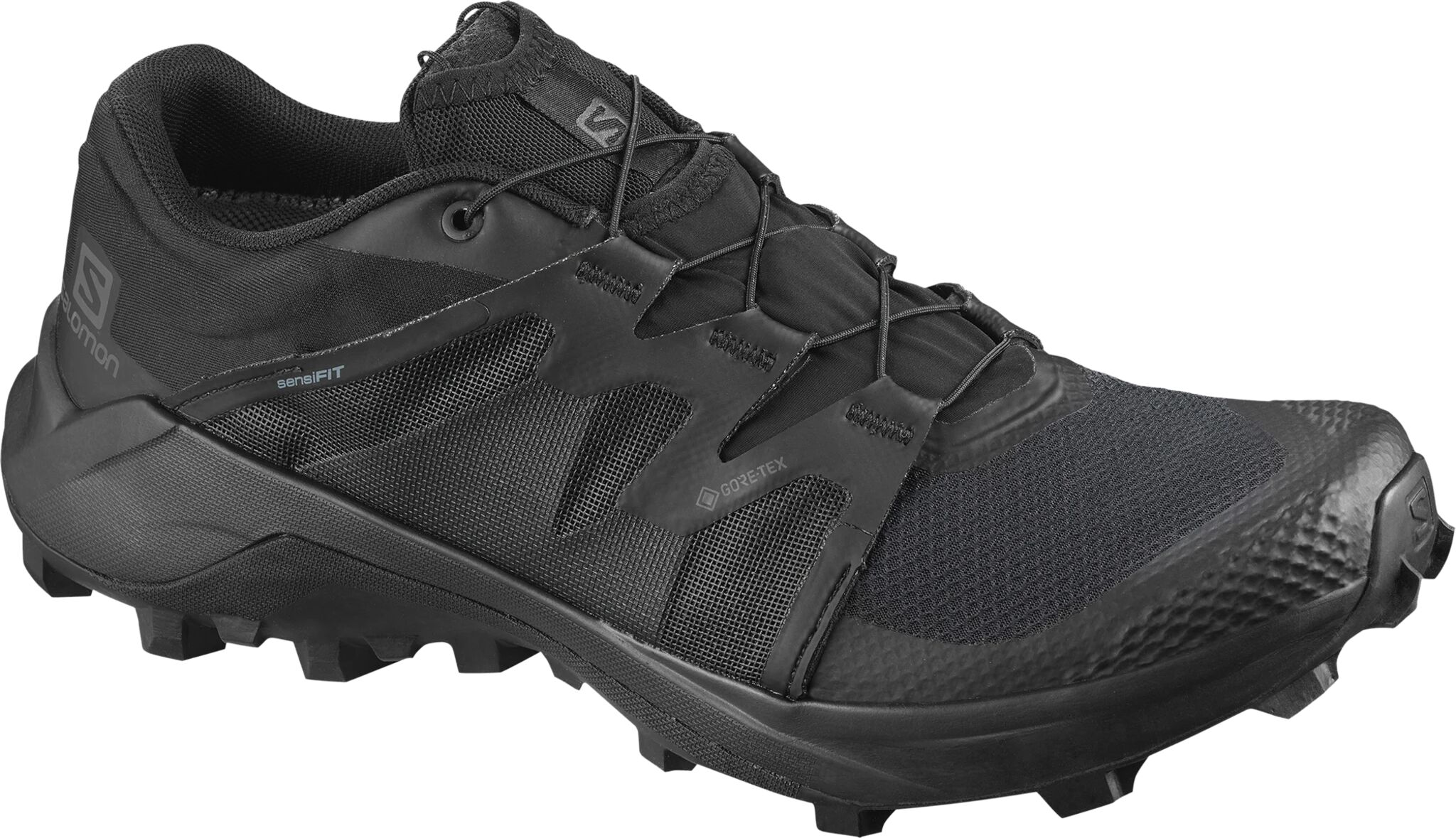 Salomon Wildcross Gore-Tex, terrengløpesko herre 40 2/3 Black/Black/Black