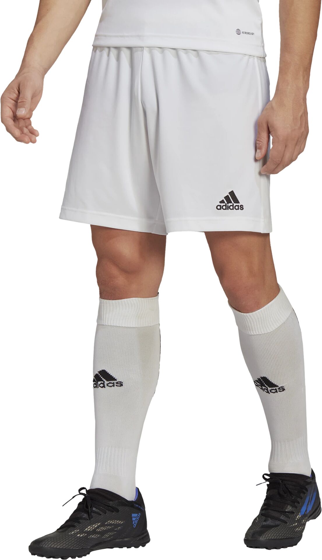 adidas ENT22 SHO, shorts herre XS White