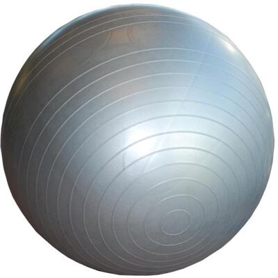 Sportsmaster Gymball 65 cm m/pumpe Sportsmaster Gymball 65 cm m/pumpe
