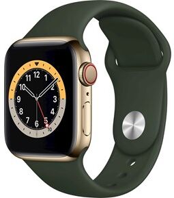 Apple Watch Series 6 GPS + Cellular, 40mm Gold Stainless Steel Case with Cyprus Green Sport Band - Regular