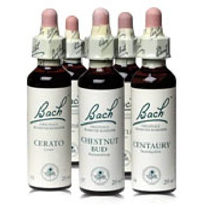 Bach'S Water Violet 20 Ml M/alkohol (1 Stk På Lager) Bach'S Water Violet 20 Ml M/alkohol (1 Stk På Lager)