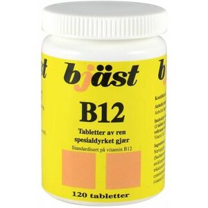 Bjäst B12