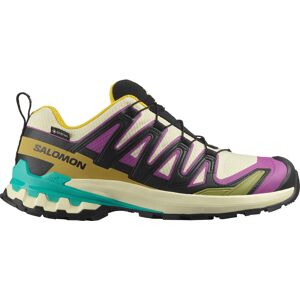Salomon Women's Xa Pro 3d V9 Gore-tex Transparent Yellow/black / Waterfall 37 37 1/3 Salomon Women's Xa Pro 3d V9 Gore-tex Transparent Yellow/black / Waterfall 37 37 1/3